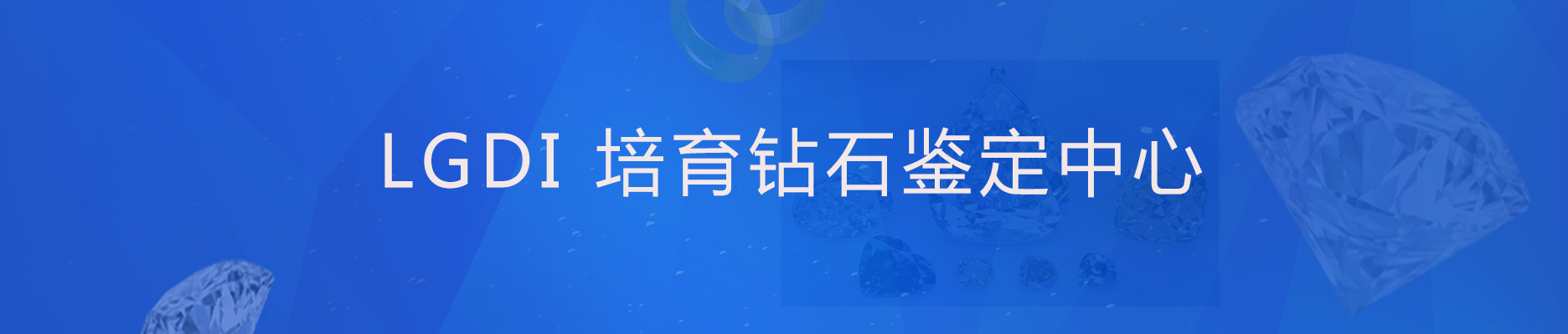 证书查询